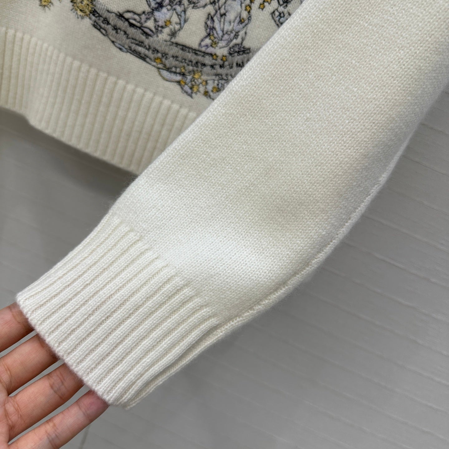 CD 25fw casnemre hoodie