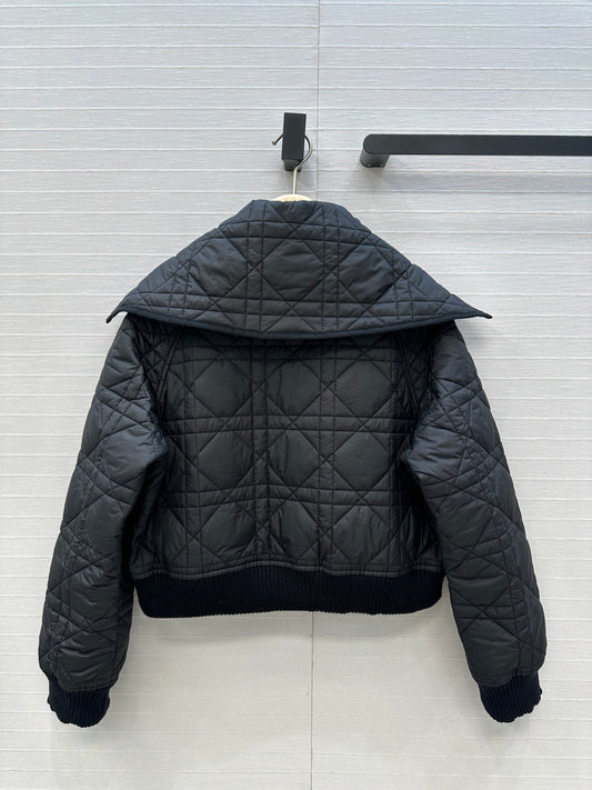 CD 25fw down jacket