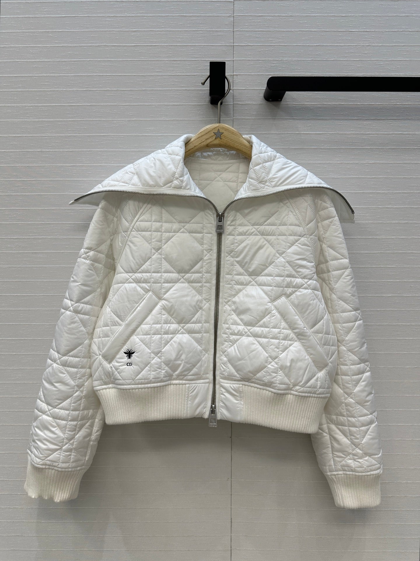 CD 25fw down jacket