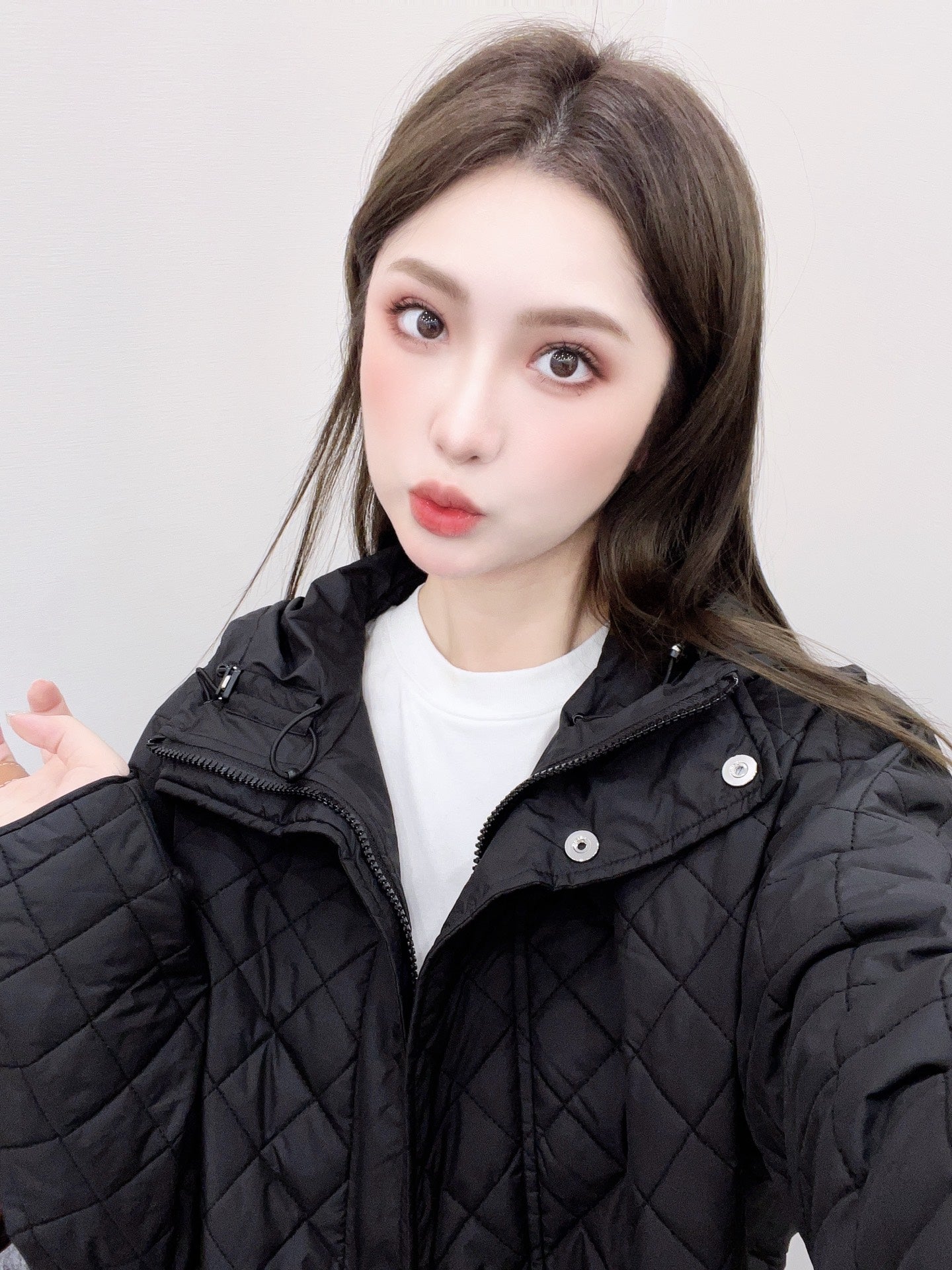 Herm 25fw down jacket