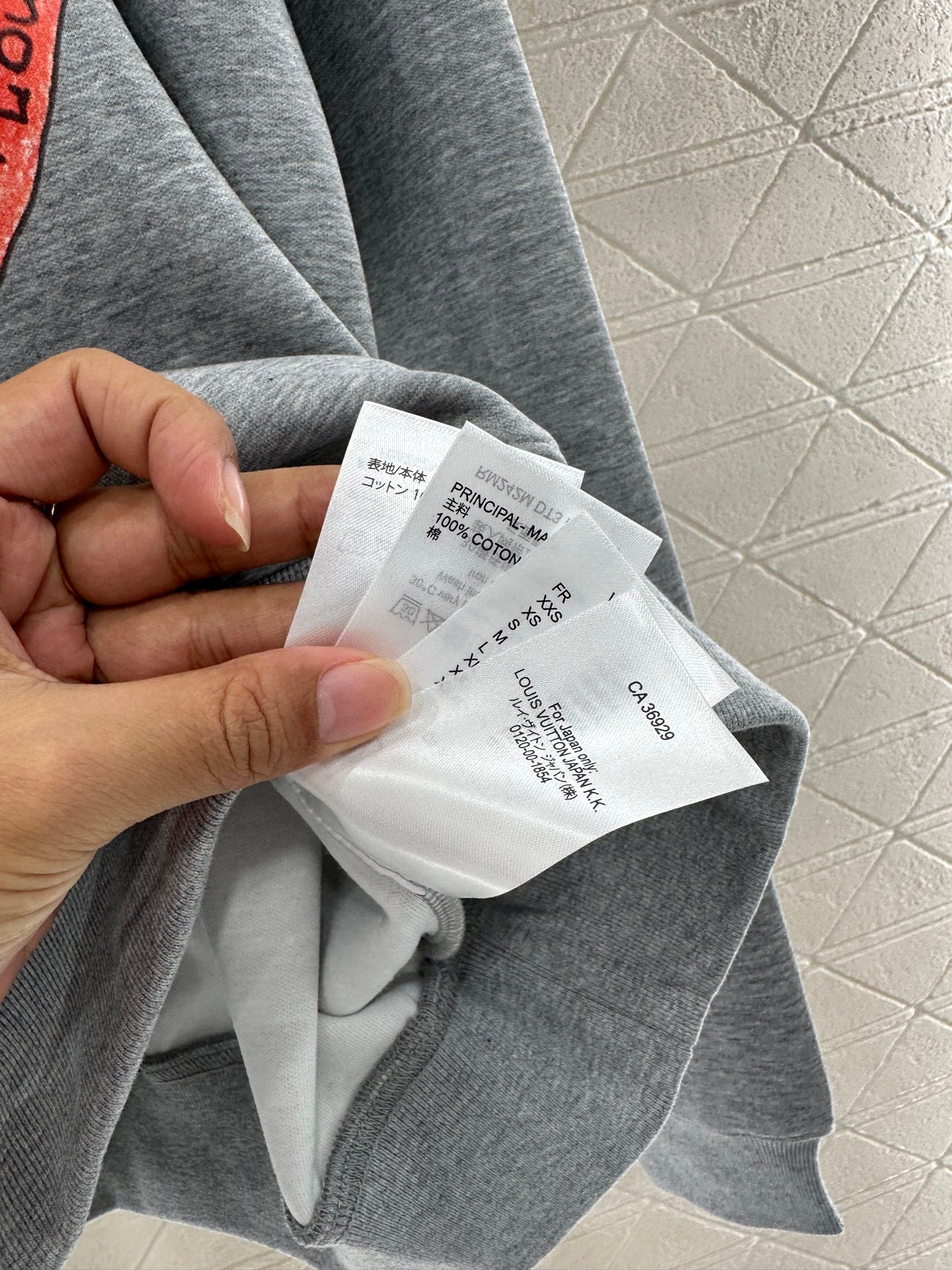 Louis 25fw printed hoodie