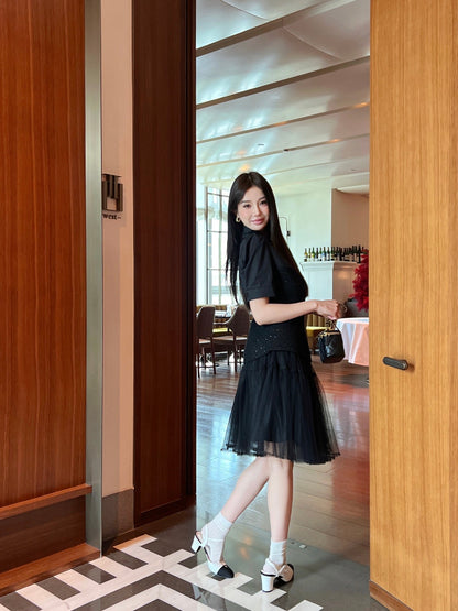 Ch 25SS mesh skirt