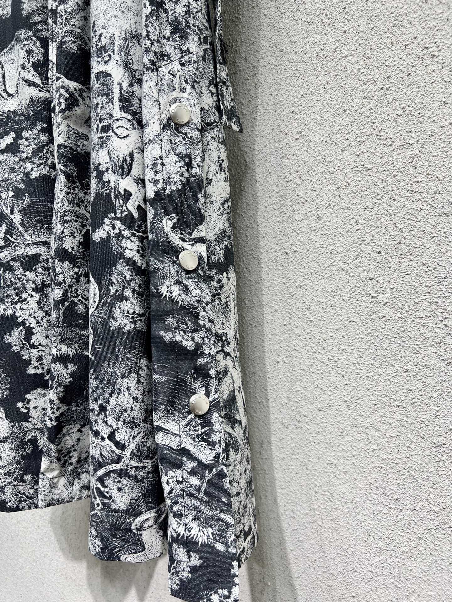 CD 25fw printed dress