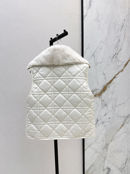 CD 25fw down vest