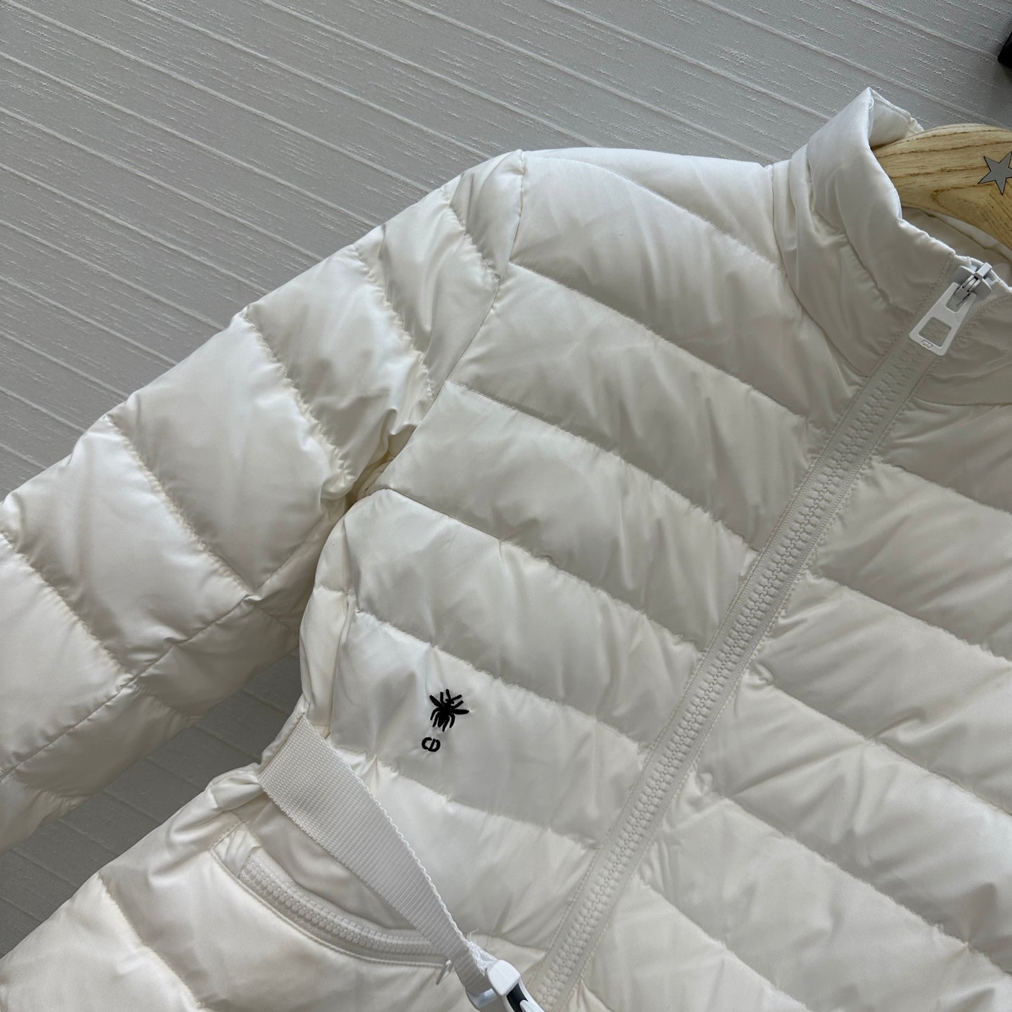 CD 25fw down jacket