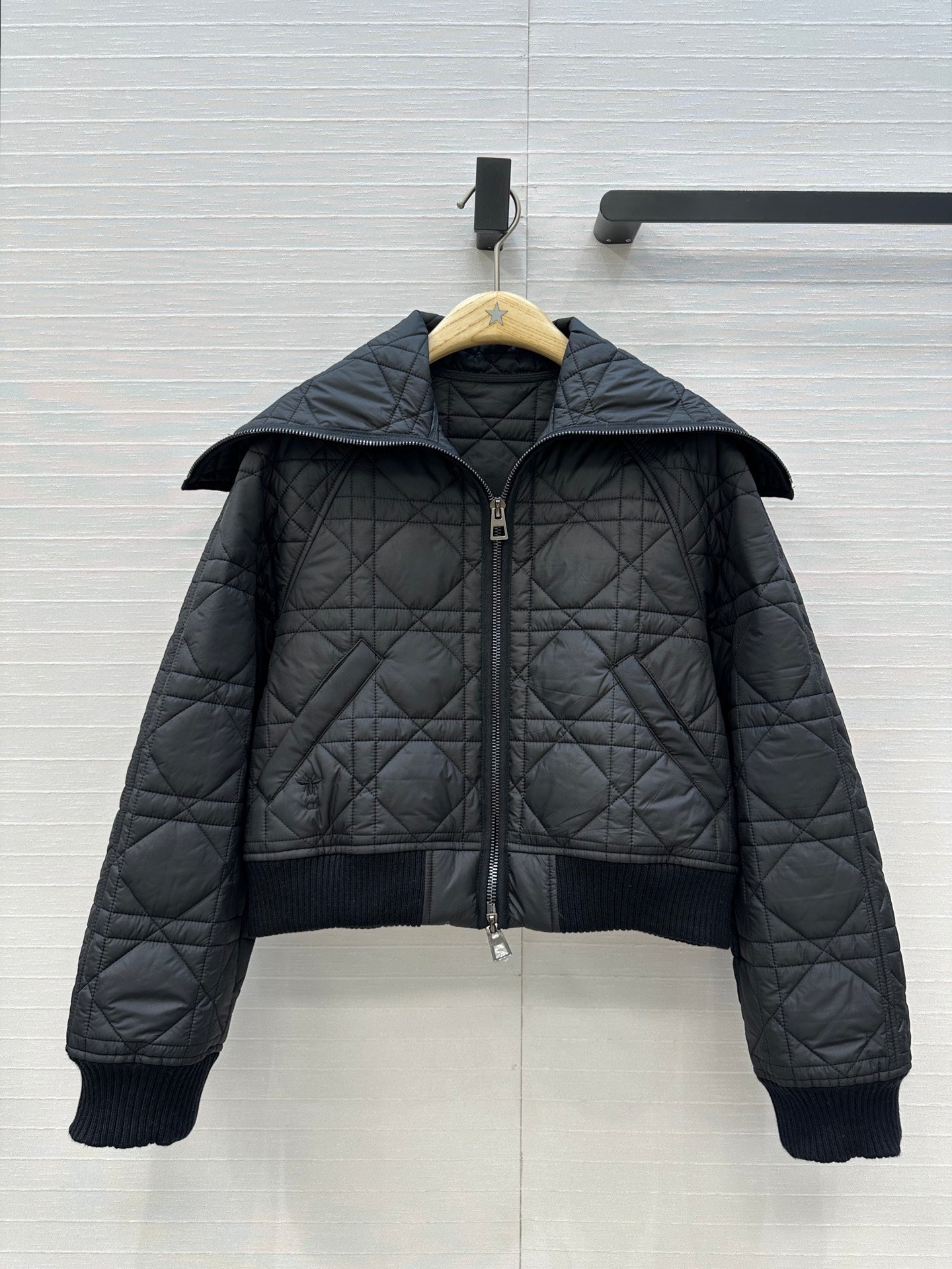 CD 25fw down jacket