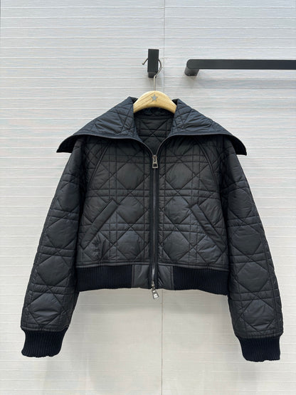 CD 25fw down jacket