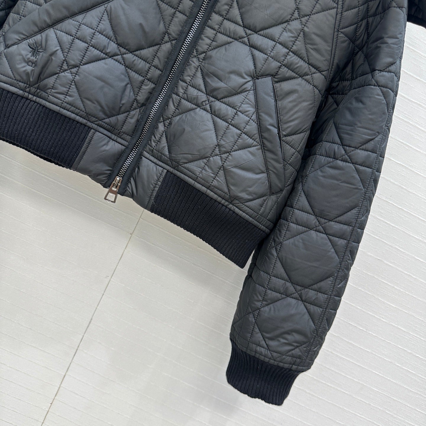 CD 25fw down jacket