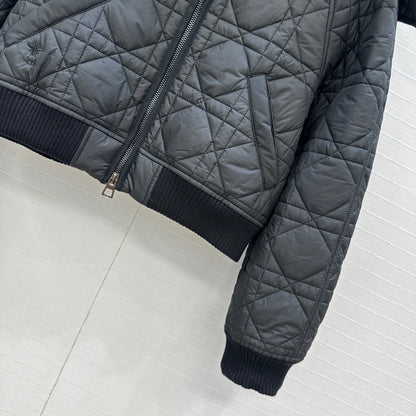 CD 25fw down jacket