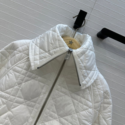 CD 25fw down jacket