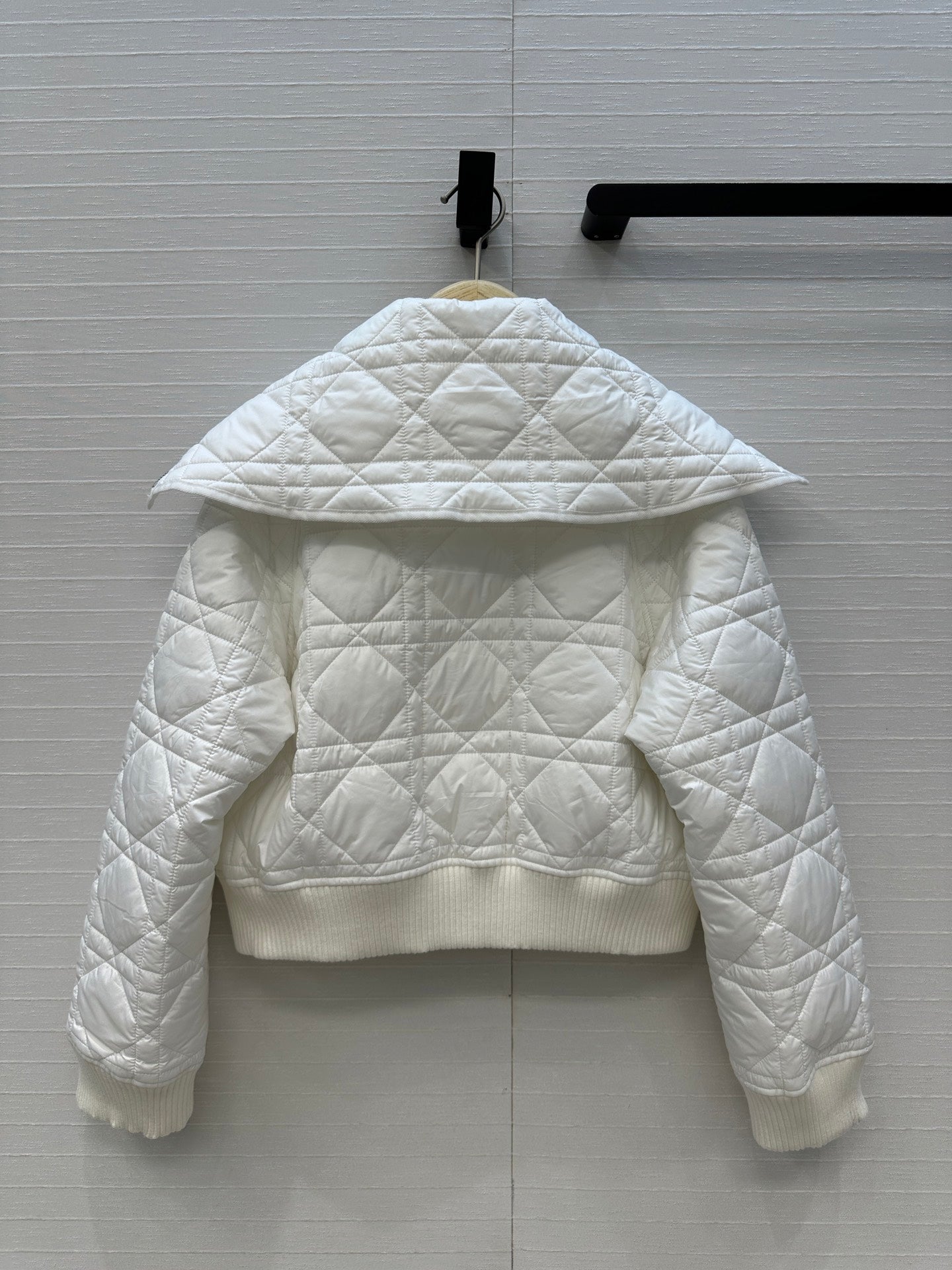 CD 25fw down jacket