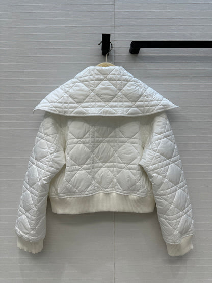 CD 25fw down jacket