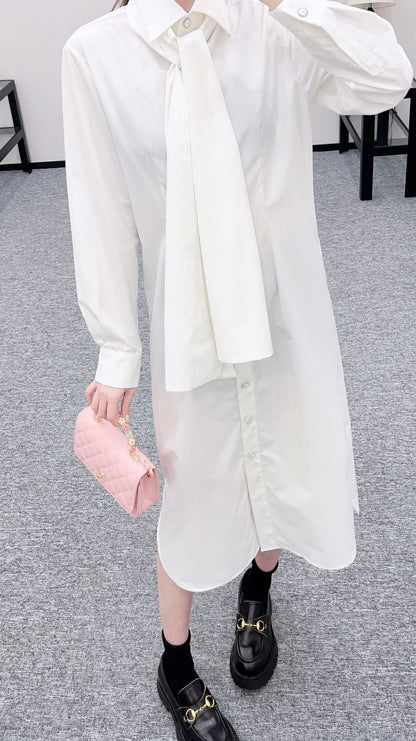 Chan 25fw shirt dress