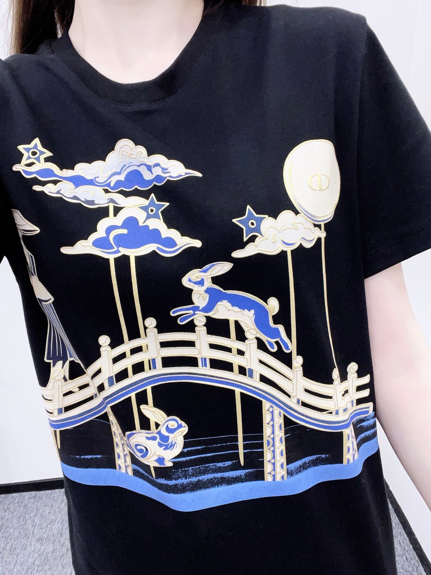 CD 25fw printed t-shirt